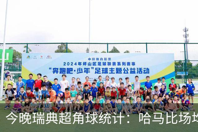 今晚瑞典超角球统计：哈马比场均5.8，天狼星场均6.2