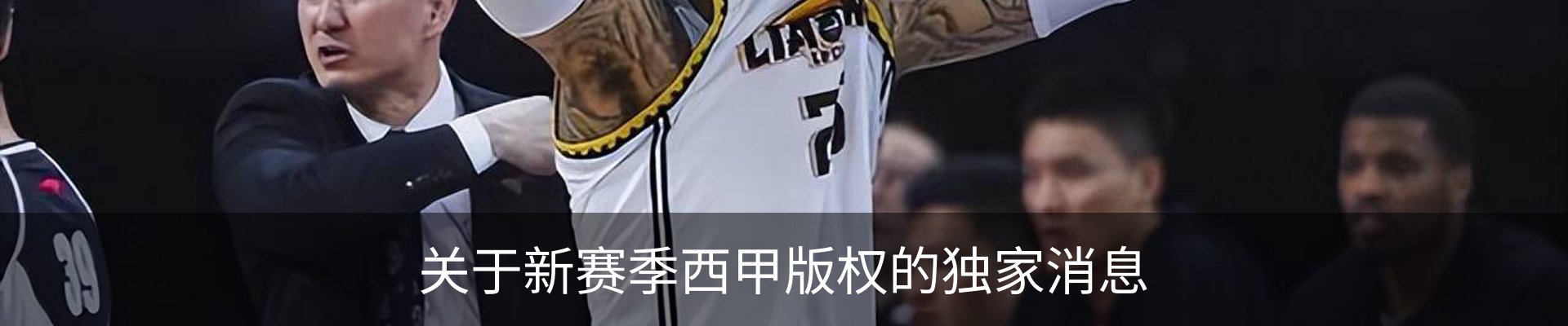 新闻动态