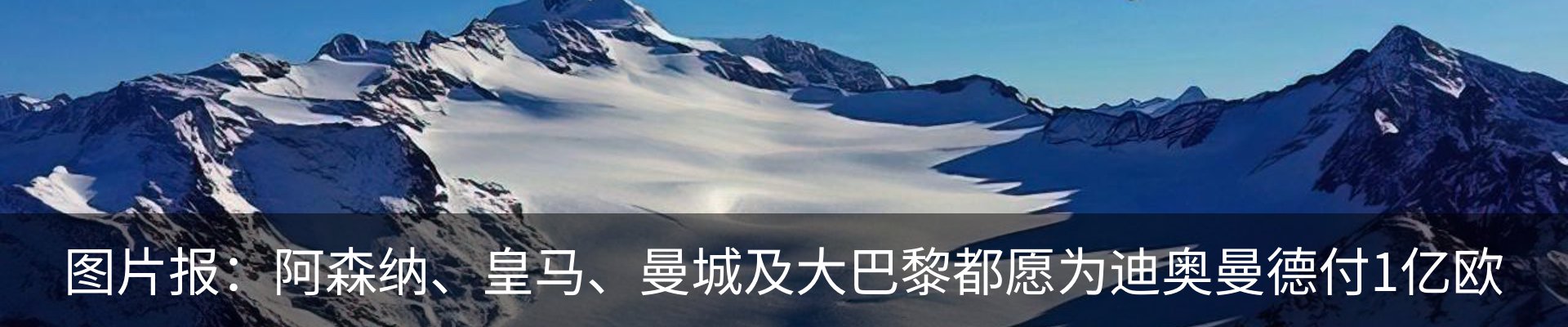 新闻动态