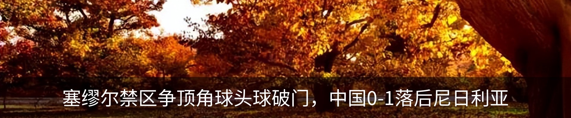 新闻动态