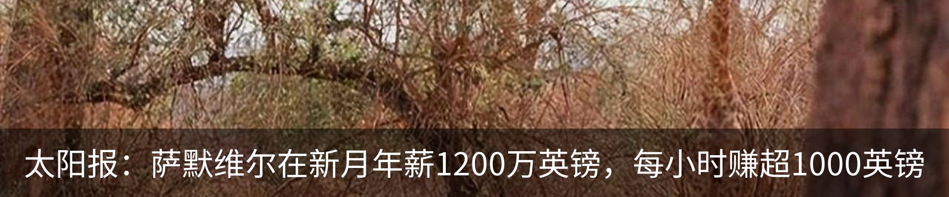 新闻动态