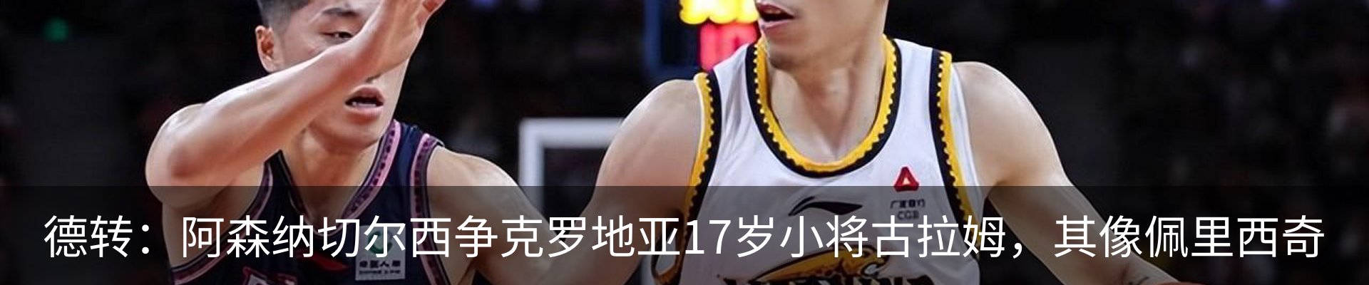 新闻动态