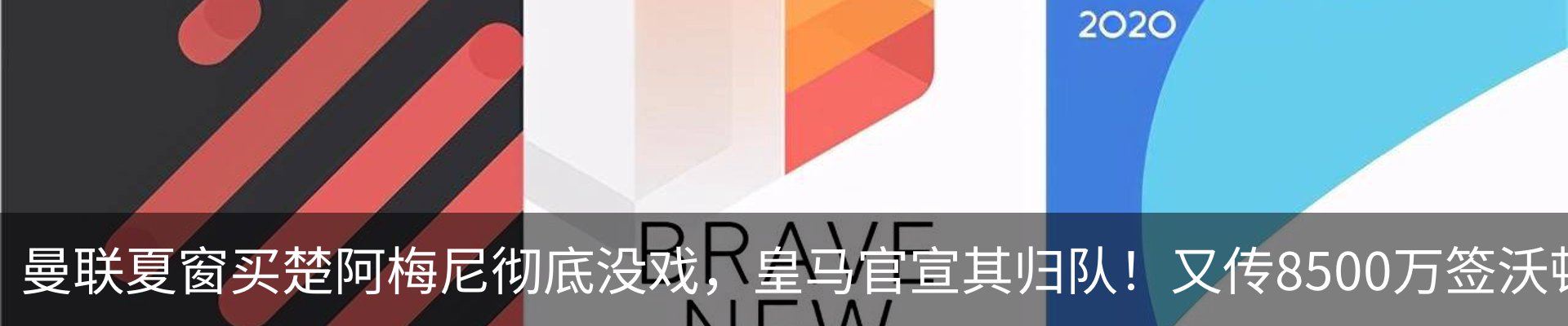 新闻动态