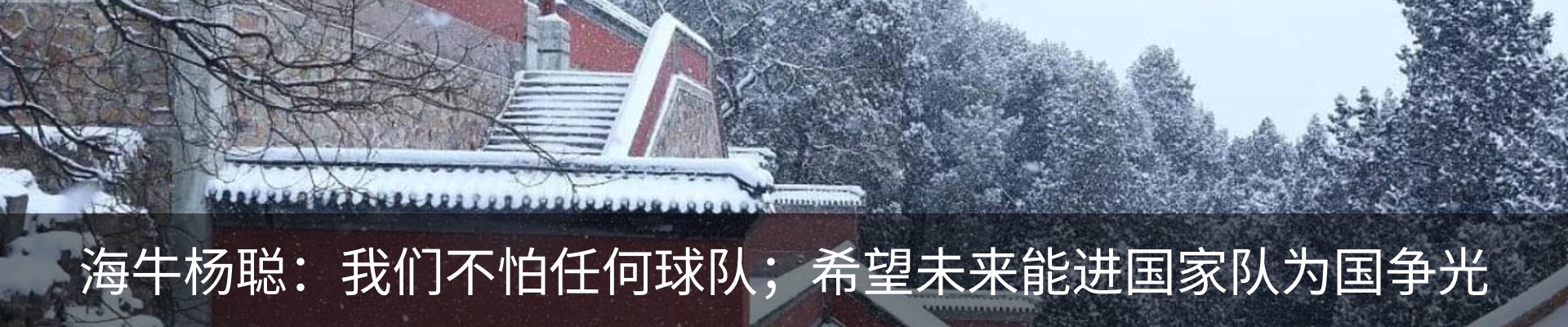 新闻动态