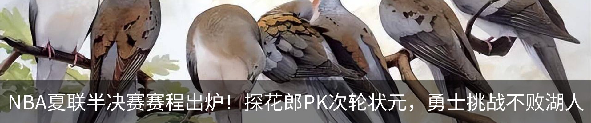 新闻动态